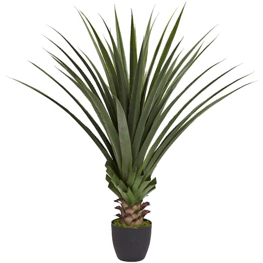 4ft. Potted Spiked Agave Plant